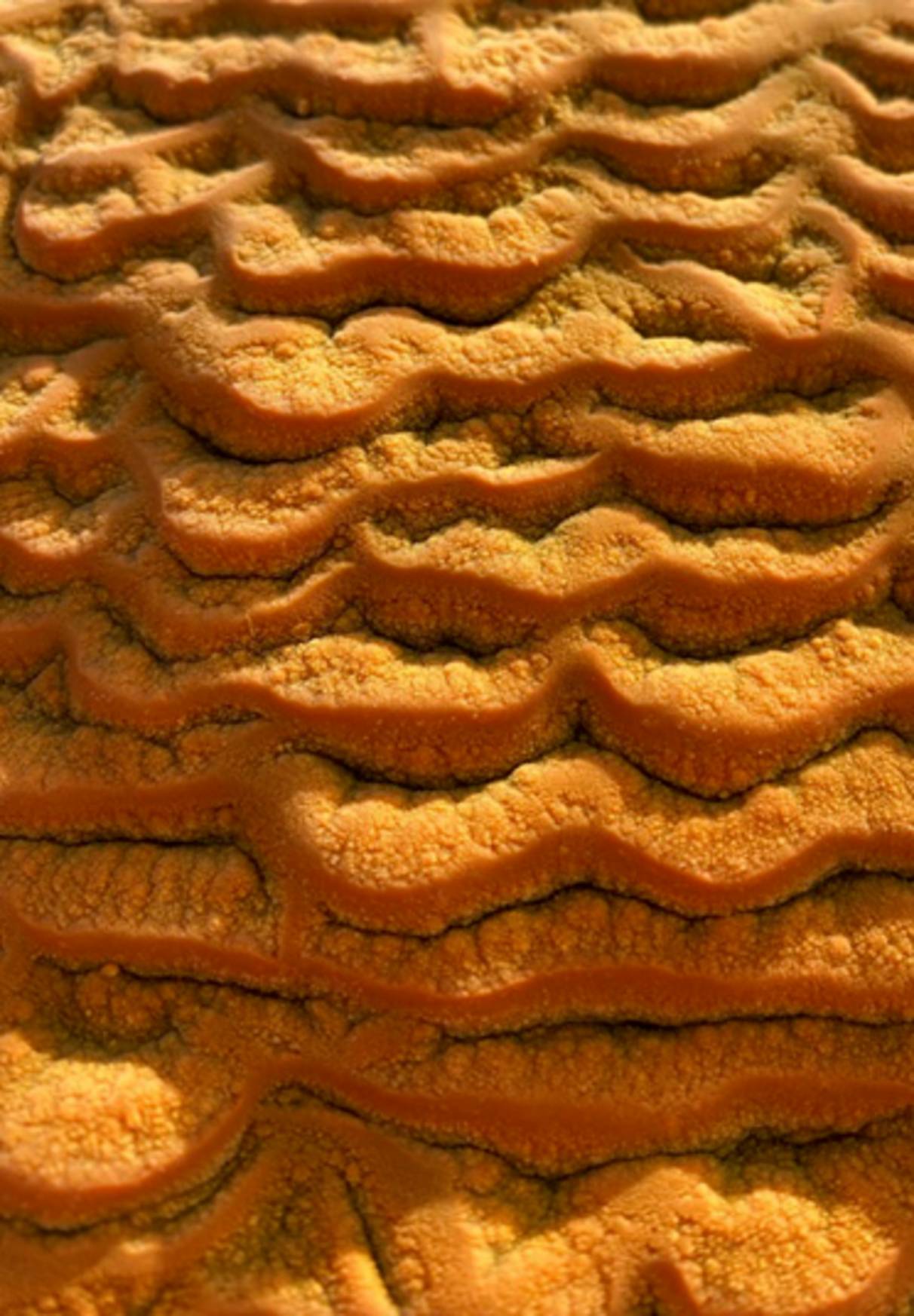 wavy layered desert rock